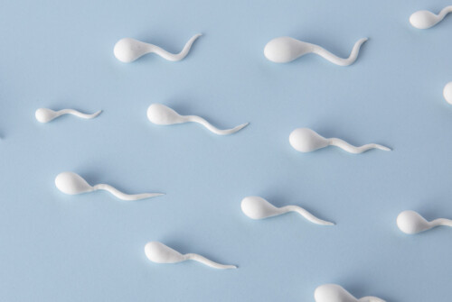 Infertilité masculine