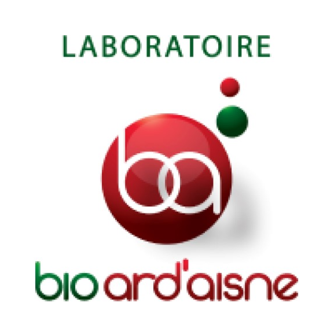 Logo LBI